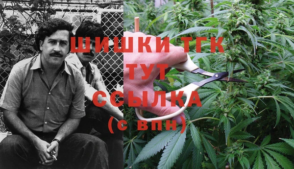 героин Алексин