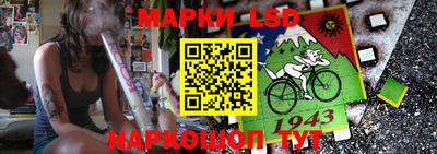 a pvp Бердск