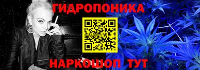 a pvp Бердск
