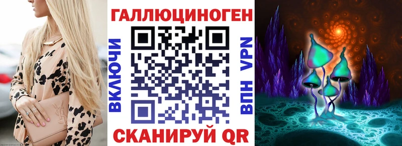 купить   Воткинск  Галлюциногенные грибы Cubensis 
