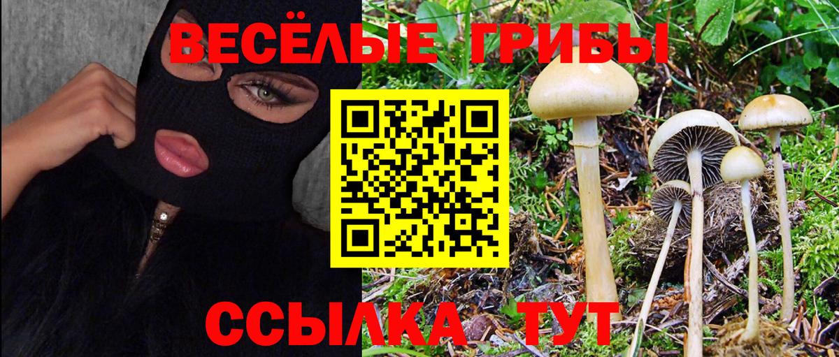 Воткинск  Псилоцибиновые грибы MAGIC MUSHROOMS  что такое наркотик  Вход с VPN 