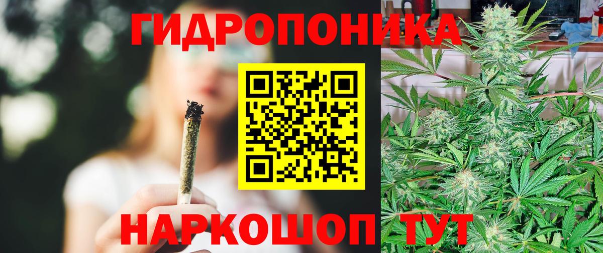 Бошки марихуана White Widow  Бошки Шишки сатива  Воткинск  Вход с VPN  Конопля план 